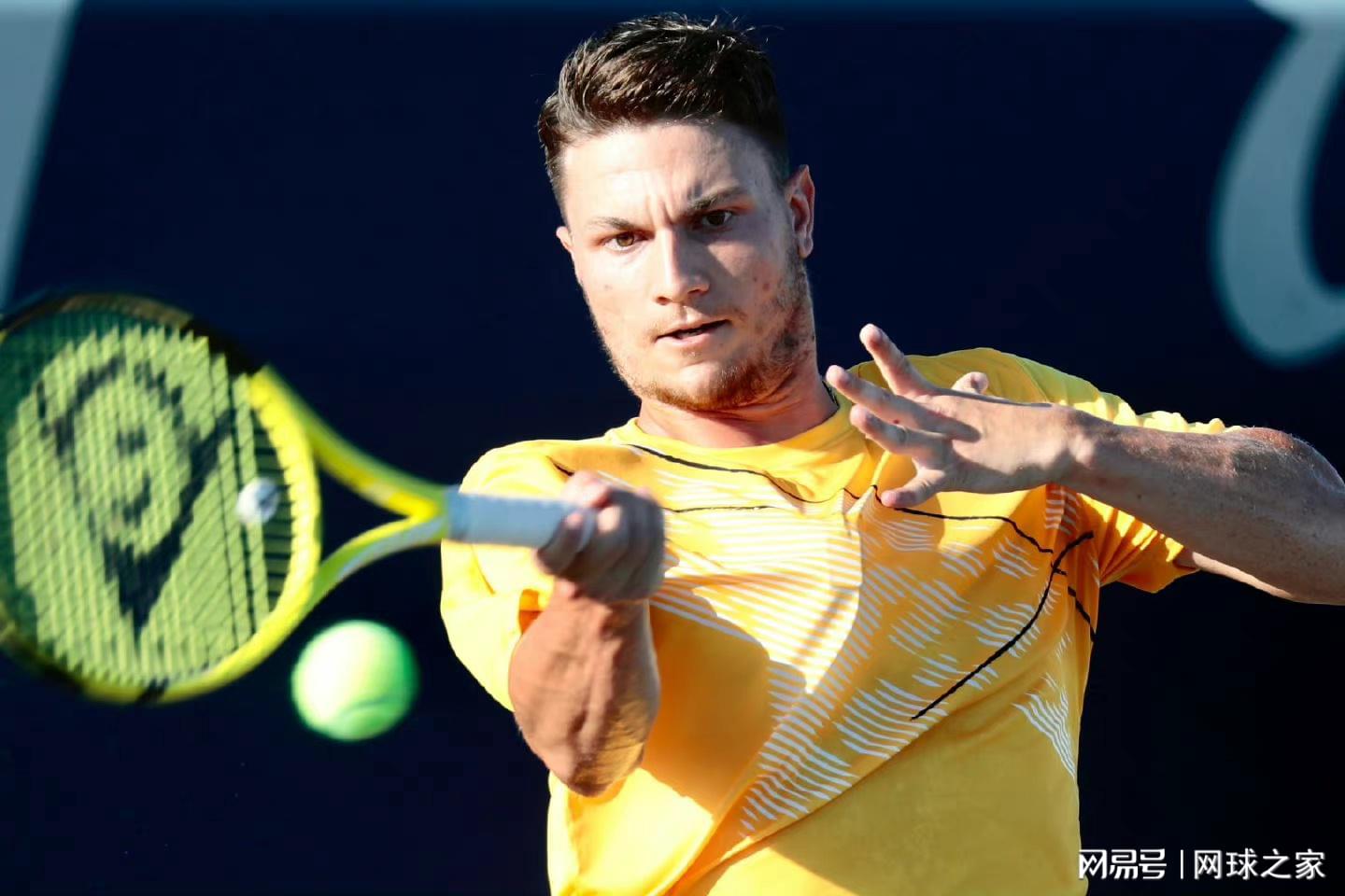 另外一位种, dingy 另外一位种, dingy