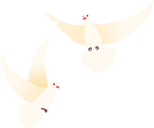 S赛车, width S赛车, width